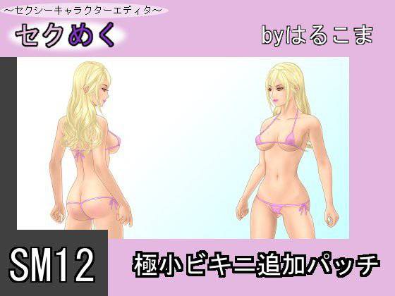 SM12極小ビキニ追加パッチ メイン画像