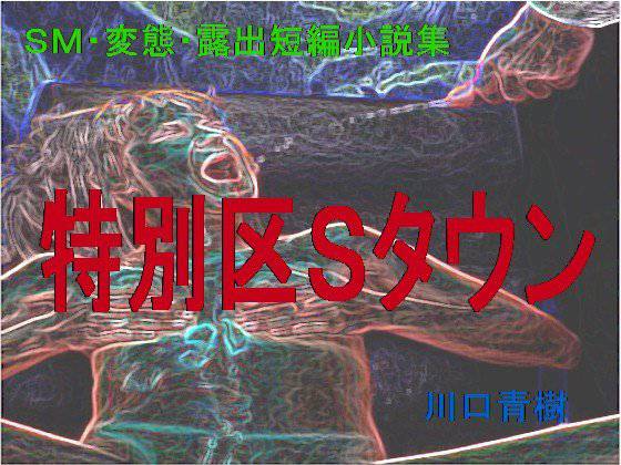 SM・変態・露出短編小説集「特別区Sタウン」 メイン画像