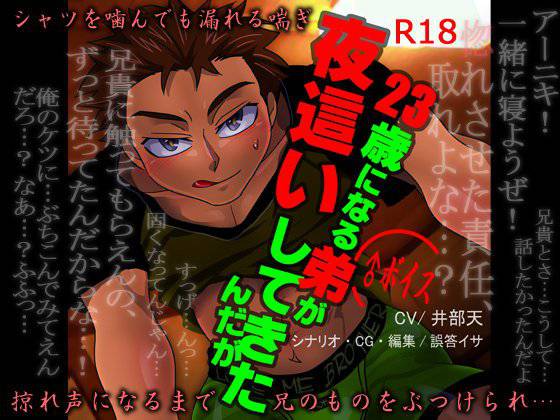 23歳になる弟が夜這いしてきたんだが メイン画像