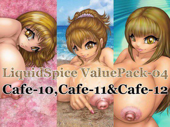 LiquidSpice ValuePack-04 メイン画像