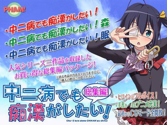 中二病でも痴漢がしたい！総集編 メイン画像