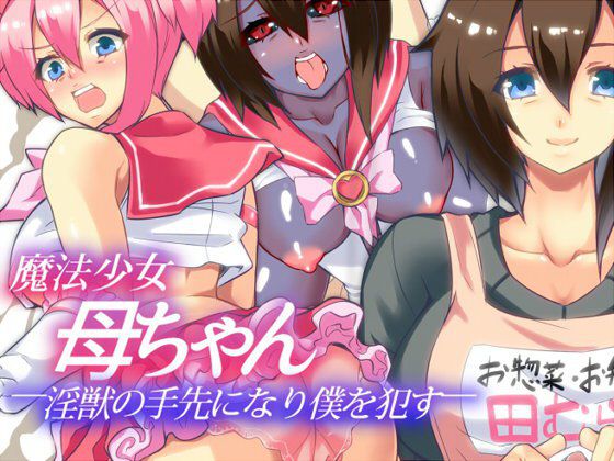 魔法少女母ちゃん 淫獣の手先になり僕を犯す メイン画像