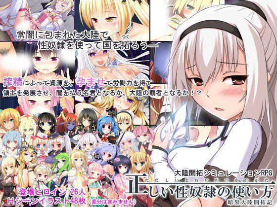 正しい性奴隷の使い方-暗黒大陸開拓記- メイン画像