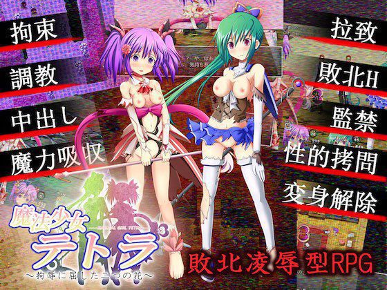 魔法少女テトラ 〜拘辱に屈した二つの花 メイン画像