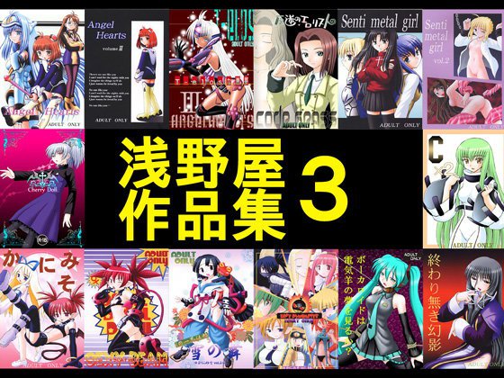 浅野屋作品集3 メイン画像