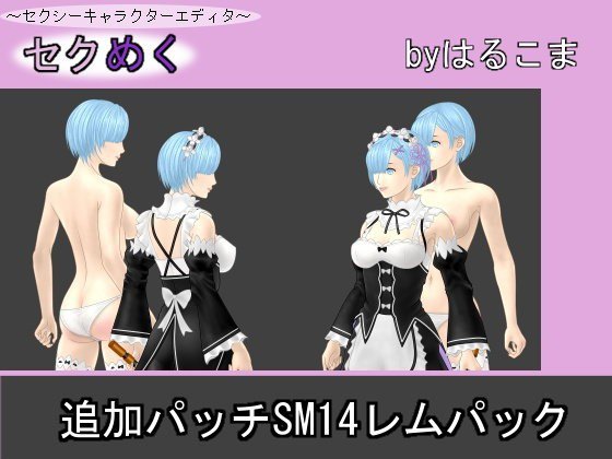 追加パッチSM14レムパック メイン画像