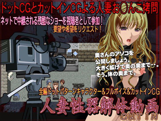 人妻性器解体動画CUTIN メイン画像