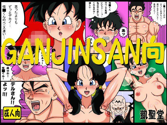 GANJINSAN向 メイン画像