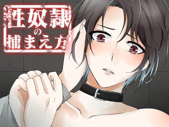 性奴隷の捕まえ方 メイン画像