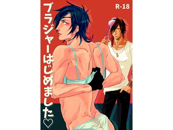 ブラジャーはじめました メイン画像