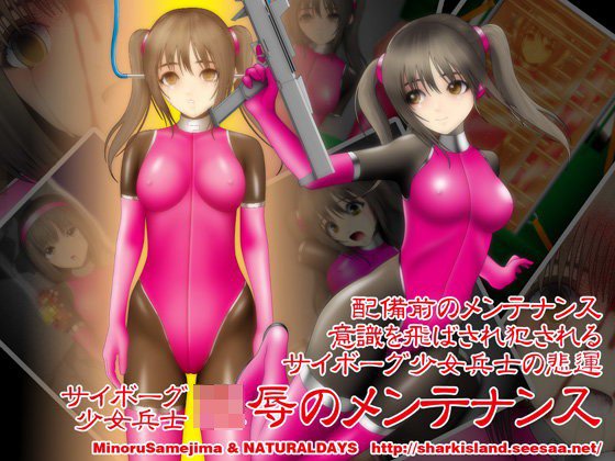 陵辱のメンテナンス メイン画像