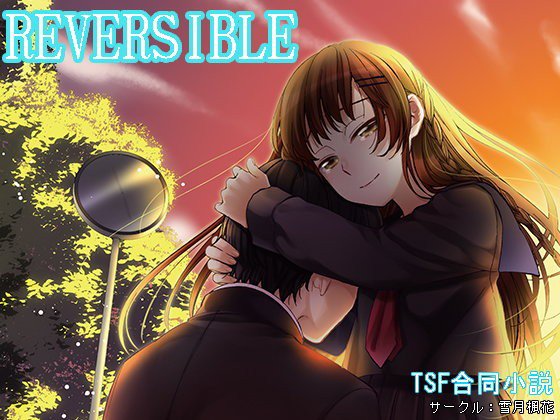 REVERSIBLE メイン画像