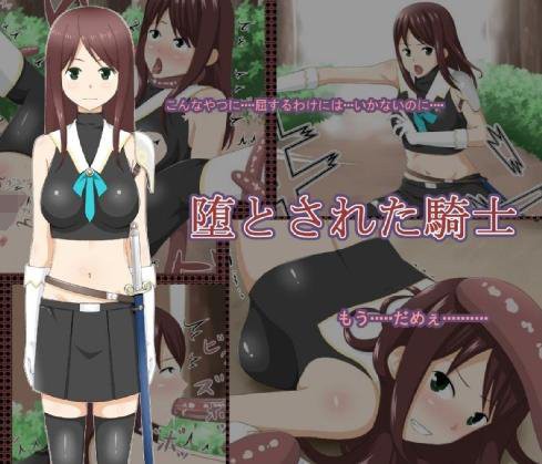 堕とされた騎士 メイン画像