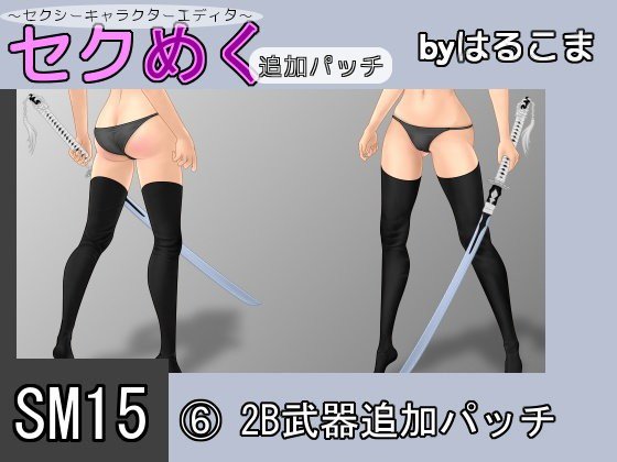 SM15（6）2B武器追加パッチ メイン画像