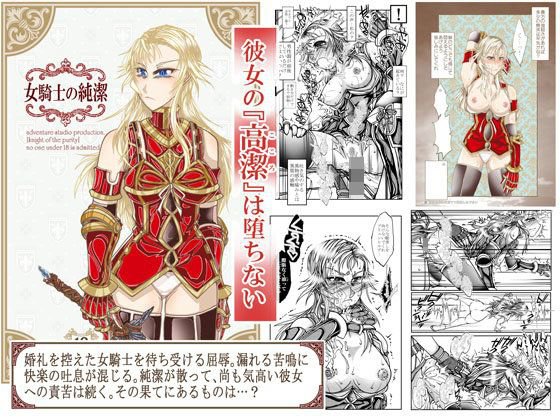 女騎士の純潔 メイン画像