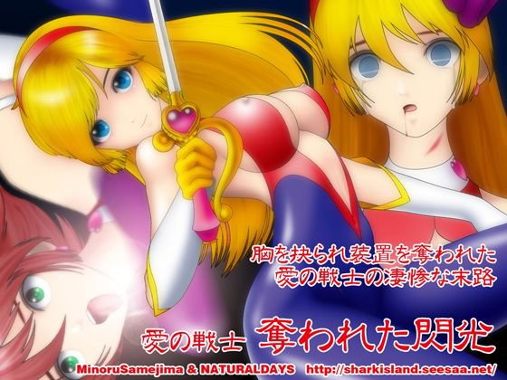 愛の戦士 奪われた閃光 メイン画像
