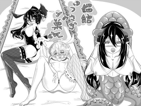 娼館 『ウサギの巣』 メイン画像