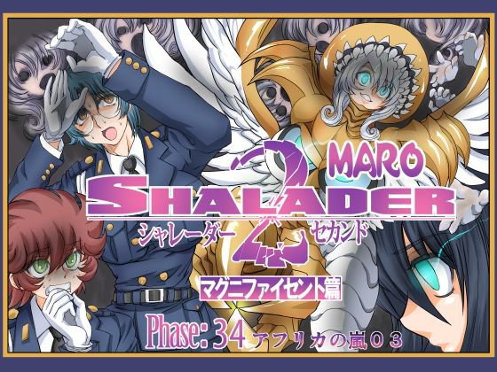 シャレーダーセカンドNO.34 メイン画像