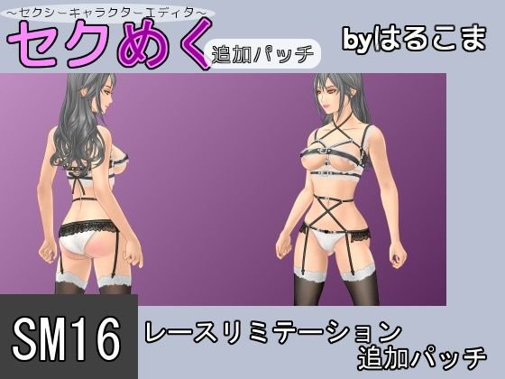 SM16レースリミテーション追加パッチ メイン画像