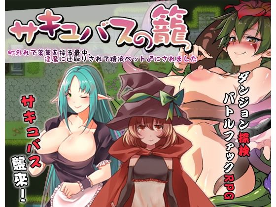 サキュバスの籠 - 町外れで薬草を採る最中、淫魔に辻取りされて精液ペット♂にされました メイン画像