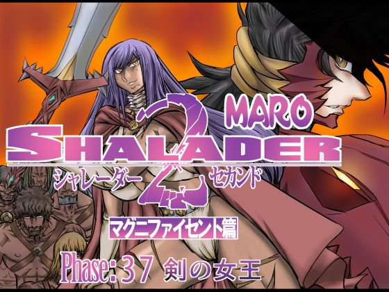 シャレーダーセカンドNO.37 メイン画像