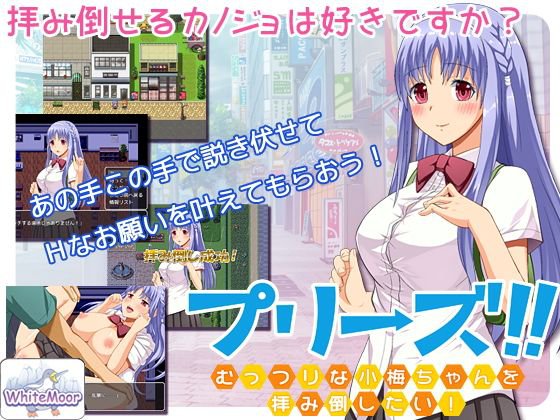 プリーズ！！-むっつりな小梅ちゃんを拝み倒したい！- メイン画像