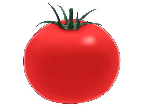 トマトが赤くなれば医者が青くなる話 メイン画像