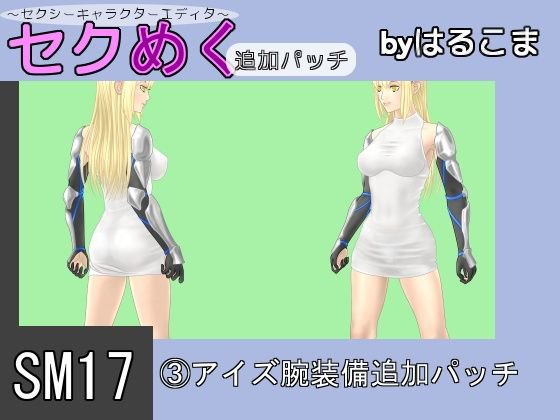 SM17（3）アイズ腕装備追加パッチ メイン画像