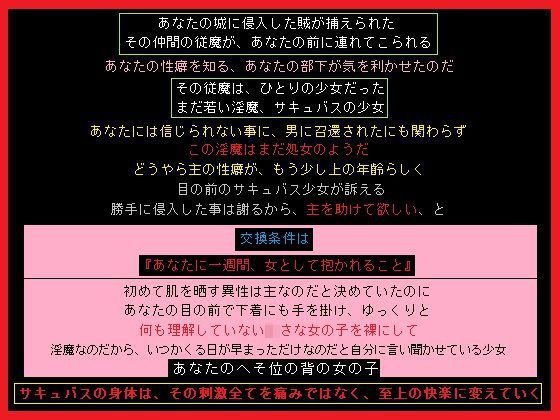 あなたの城に挑み、全滅したハーレムパーティー メイン画像