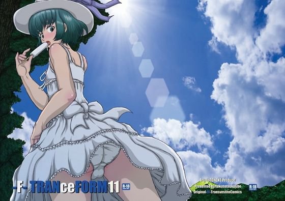 -F-TRANceFORM11 メイン画像