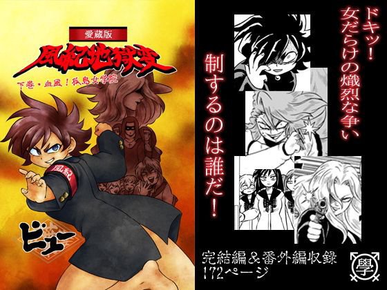 愛蔵版風紀地獄変/下巻・血風！孤島女学院〜学ラン女体化シリーズ〜 メイン画像