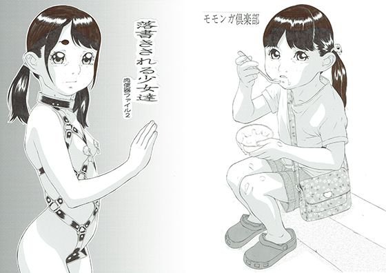 落書きされる少女達〜肉便器ファイル2〜 メイン画像
