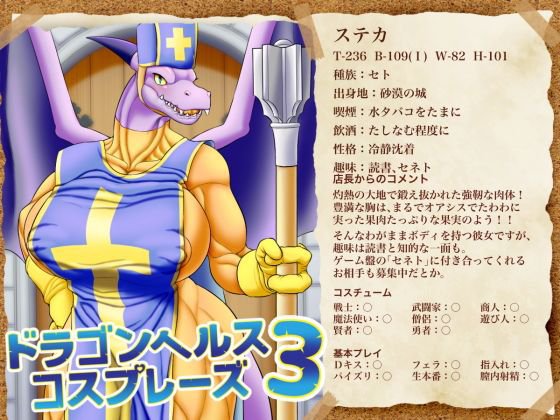 ドラゴンヘルスコスプレーズ3 メイン画像