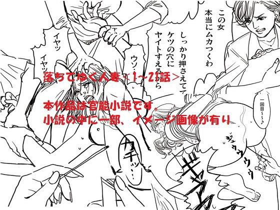 ＜官能小説・イメージ画像付き・全403P＞落ちてゆく人妻 メイン画像