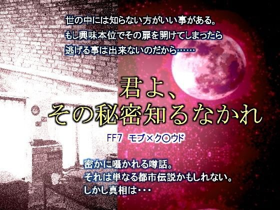 君よ、その秘密知るなかれ メイン画像
