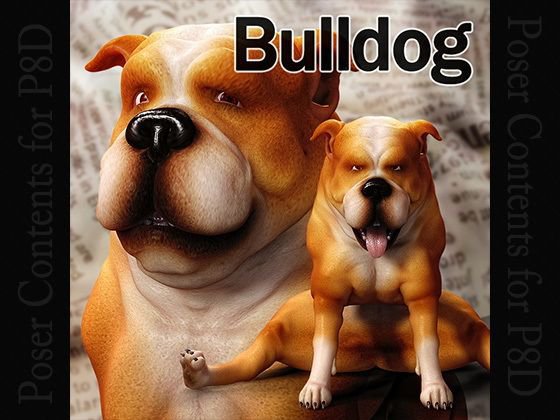 CL-Bulldog for Poser8Dog メイン画像