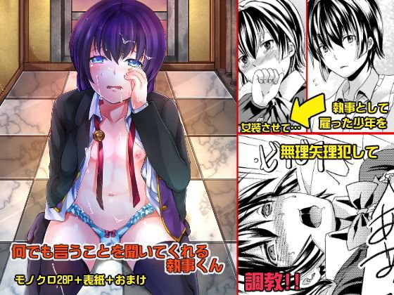 何でも言うことを聞いてくれる執事くん メイン画像