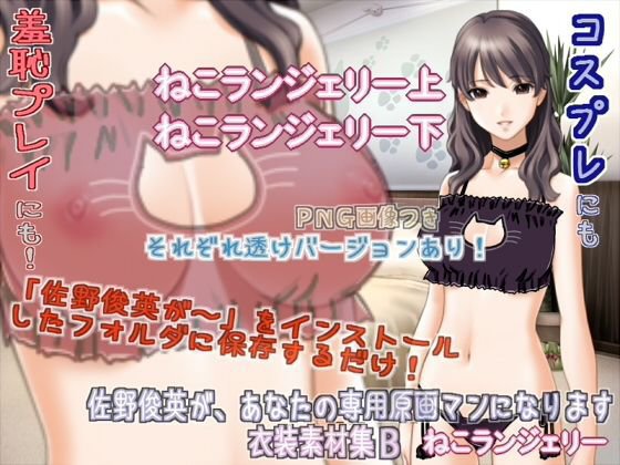 佐野俊英があなたの専用原画マンになります 衣装素材集B - ねこランジェリー - メイン画像