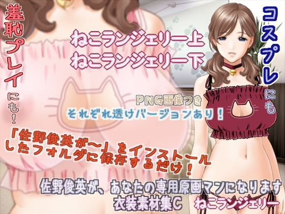 佐野俊英があなたの専用原画マンになります 衣装素材集C - ねこランジェリー - メイン画像