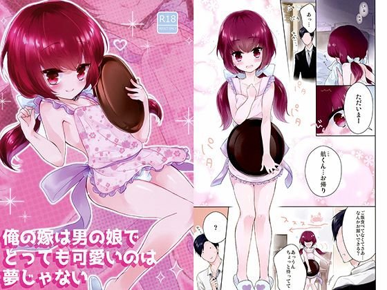 俺の嫁は男の娘でとっても可愛いのは夢じゃない メイン画像
