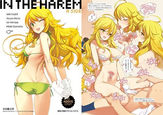 in the Harem A-side メイン画像