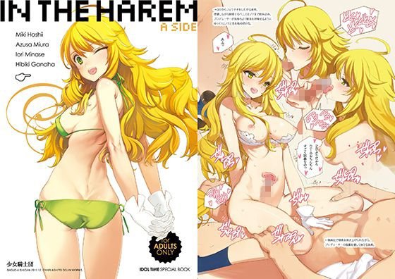 in the Harem A-side メイン画像