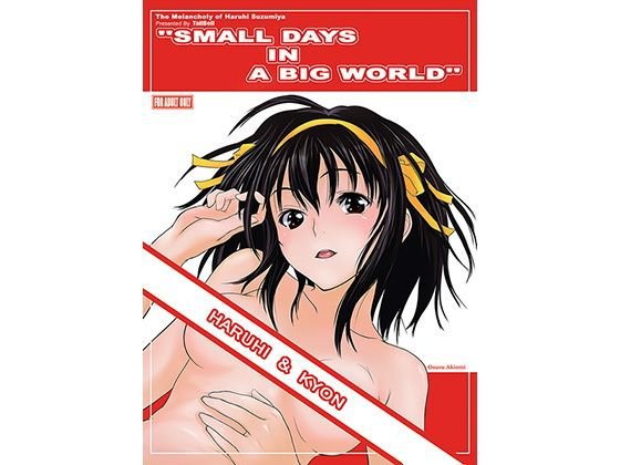 SMALL DAYS IN A BIG WORLD メイン画像