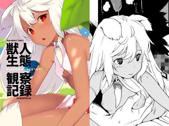 獣人生態観察記録 メイン画像
