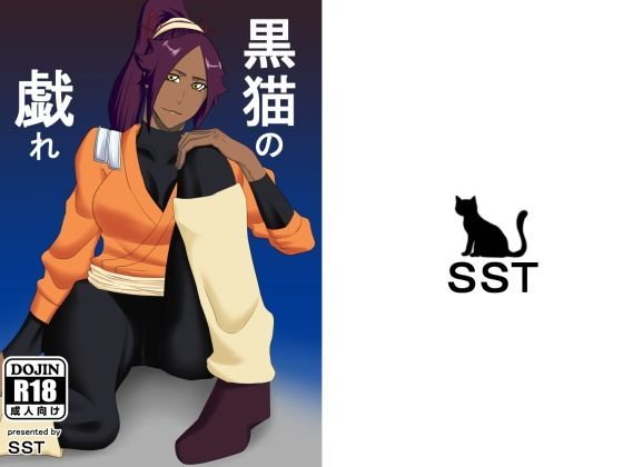 黒猫の戯れ メイン画像