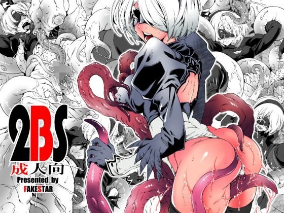 2BS メイン画像