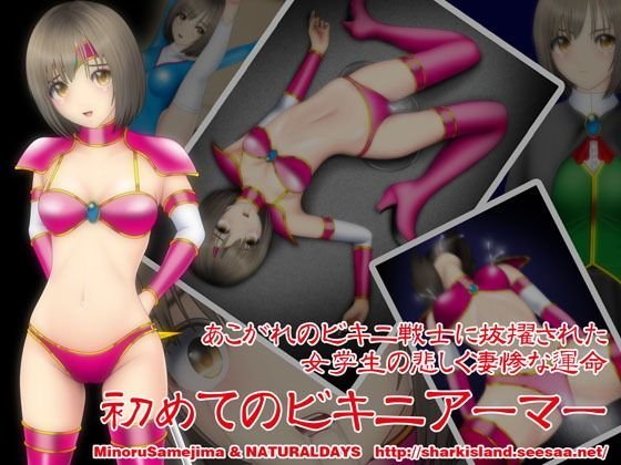 初めてのビキニアーマー メイン画像