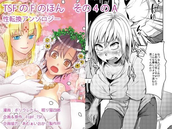 TSFのFのほん その4のA メイン画像