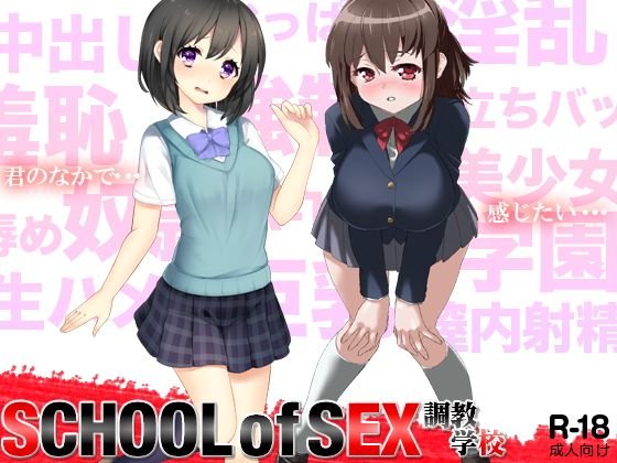 SCHOOL of SEX 〜調教学校〜 メイン画像