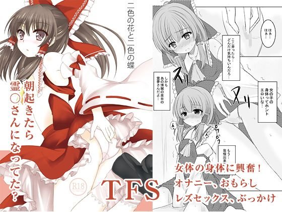 二色の花と二色の蝶 メイン画像